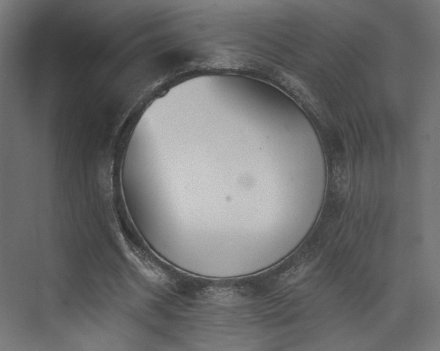 X0000074040534200608211521