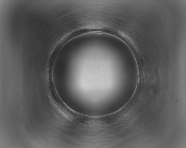 X0000074040535200608211521