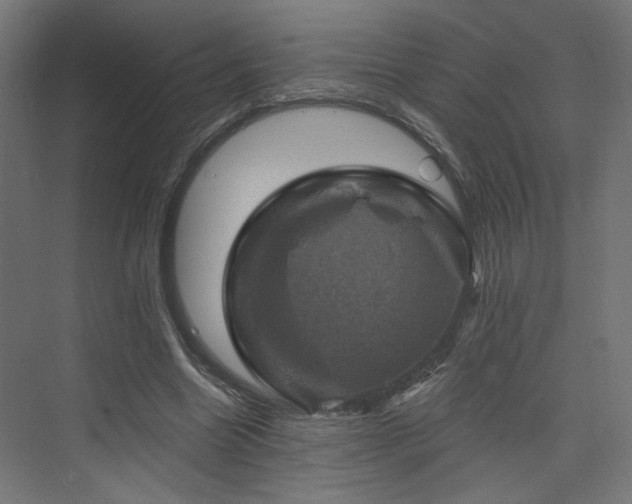 X0000074040538200608211521