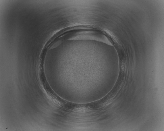 X0000074040540200608211521