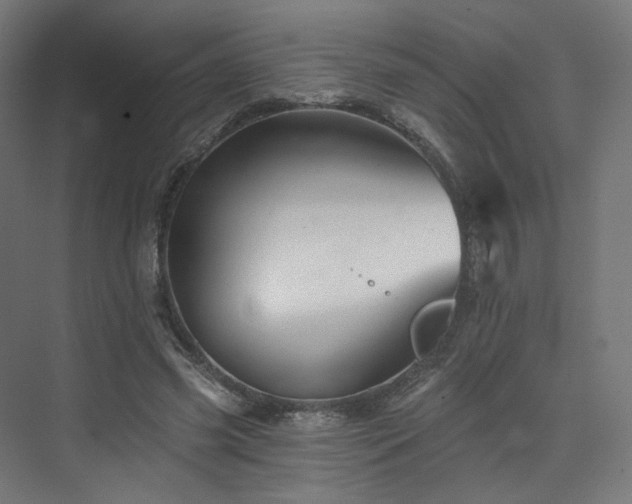 X0000074040541200608211521