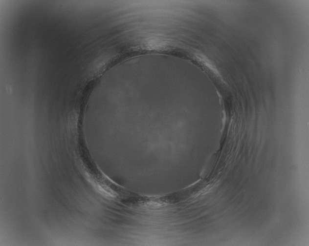 X0000074040542200608211521