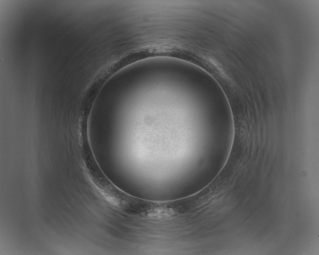 X0000074040543200608211521