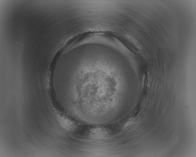 X0000074040544200608211521