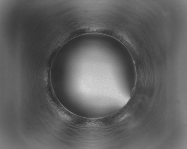 X0000074040545200608211521