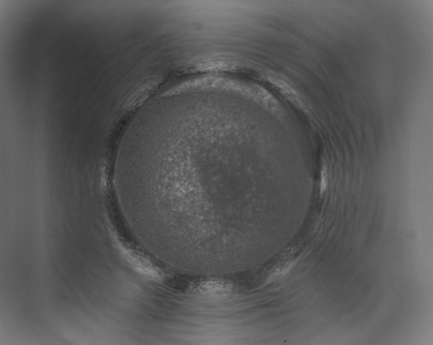 X0000074040546200608211521