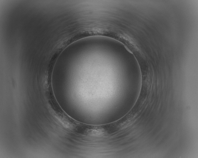 X0000074040548200608211521