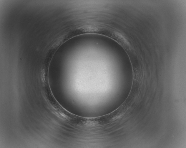 X0000074040549200608211521