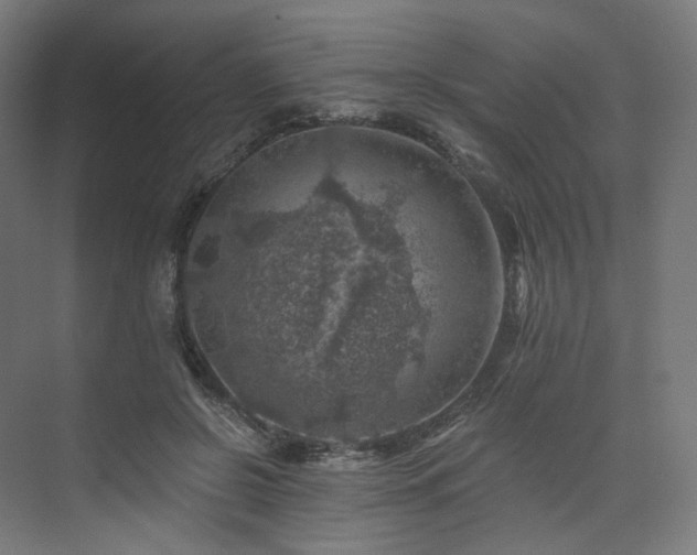 X0000074040550200608211521