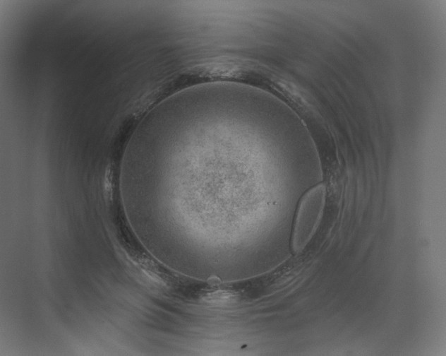 X0000074040551200608211521