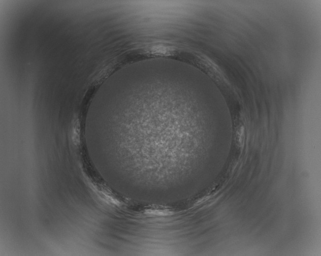 X0000074040552200608211521