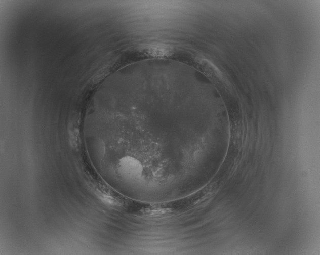 X0000074040553200608211521