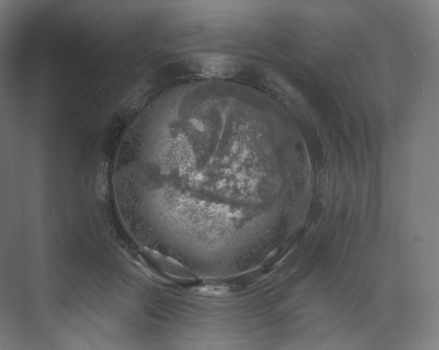 X0000074040554200608211521