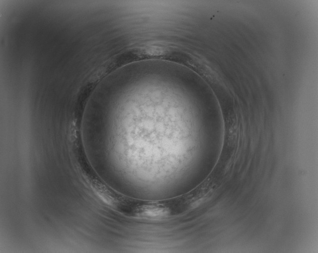 X0000074040555200608211521