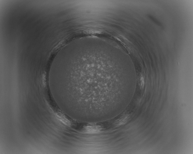 X0000074040556200608211521