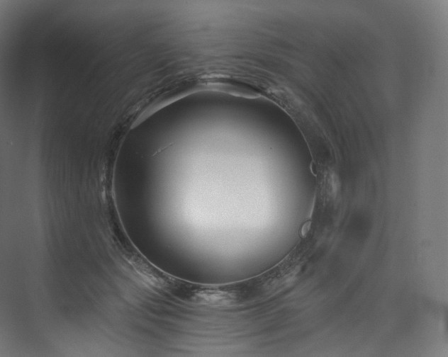 X0000074040557200608211521