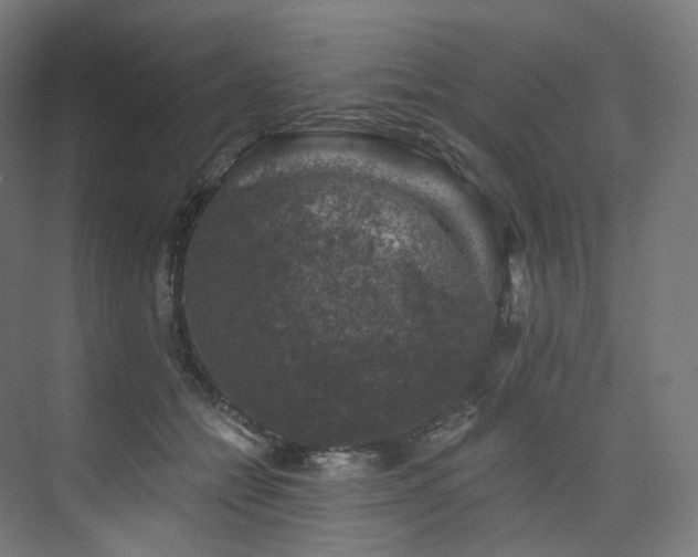 X0000074040558200608211521