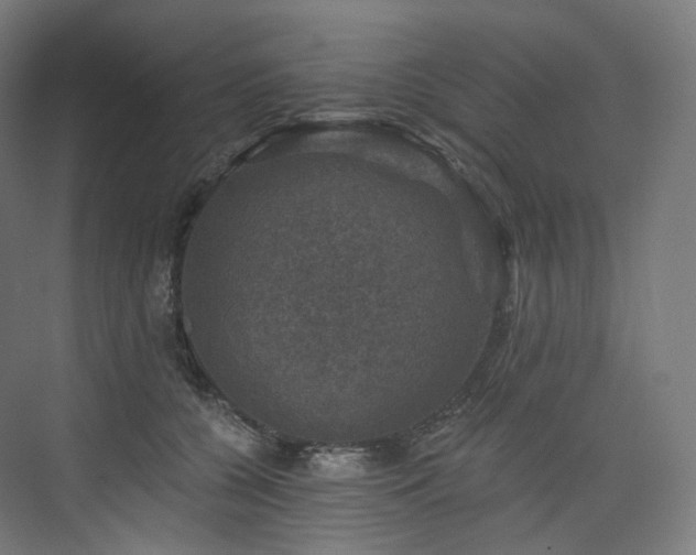 X0000074040560200608211521