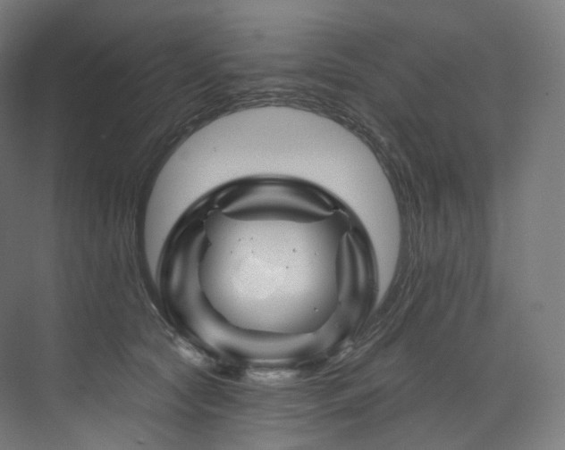 X0000074040561200608211521