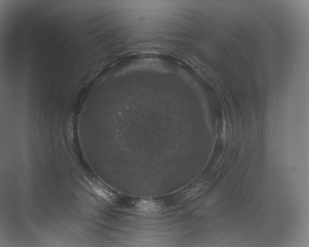 X0000074040562200608211521