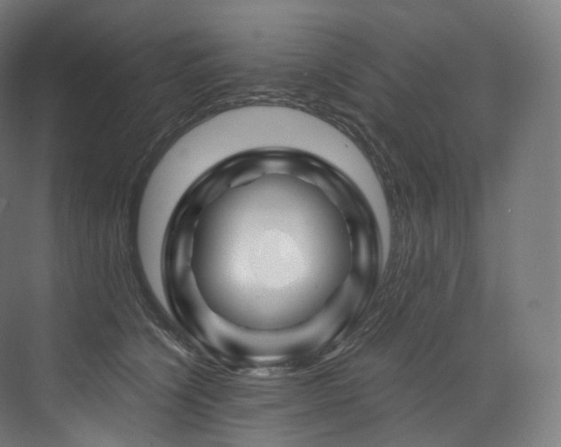 X0000074040564200608211521