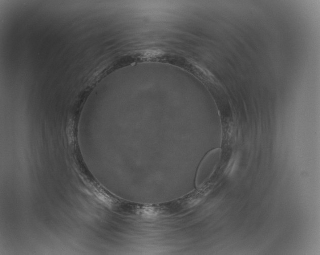 X0000074040565200608211521