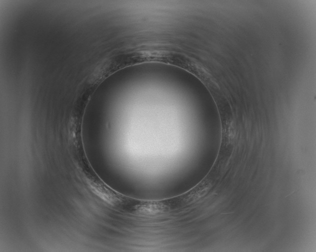 X0000074040567200608211521