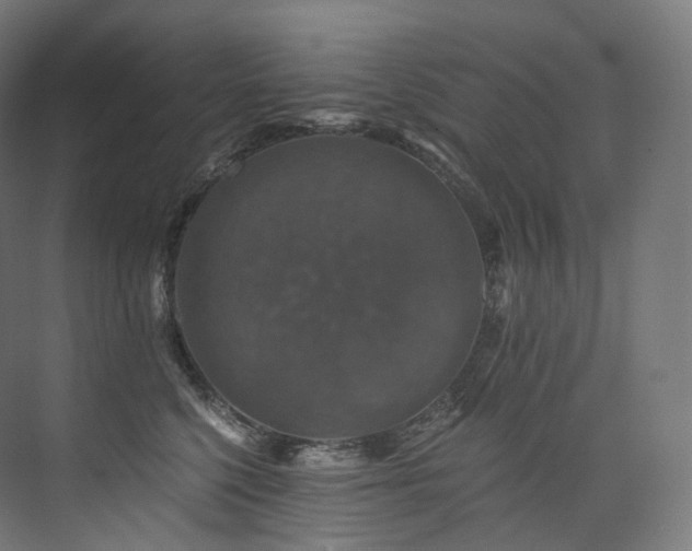 X0000074040568200608211521