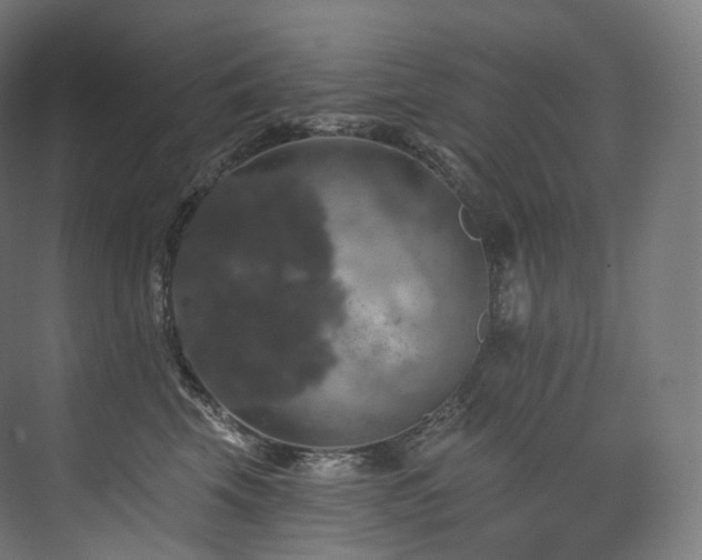 X0000074040569200608211521