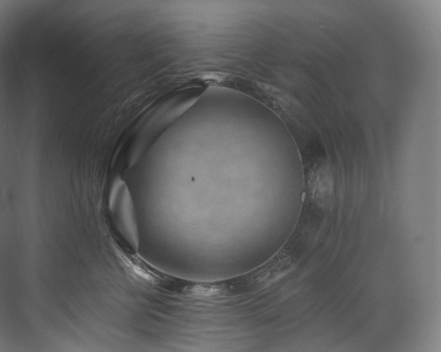 X0000074040570200608211521