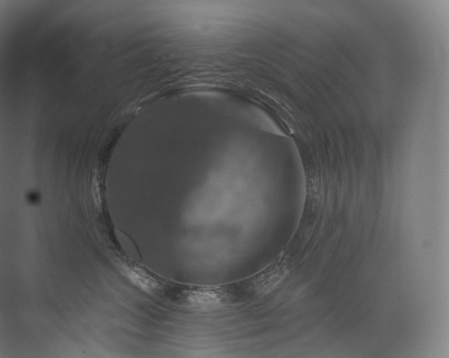 X0000074040572200608211521