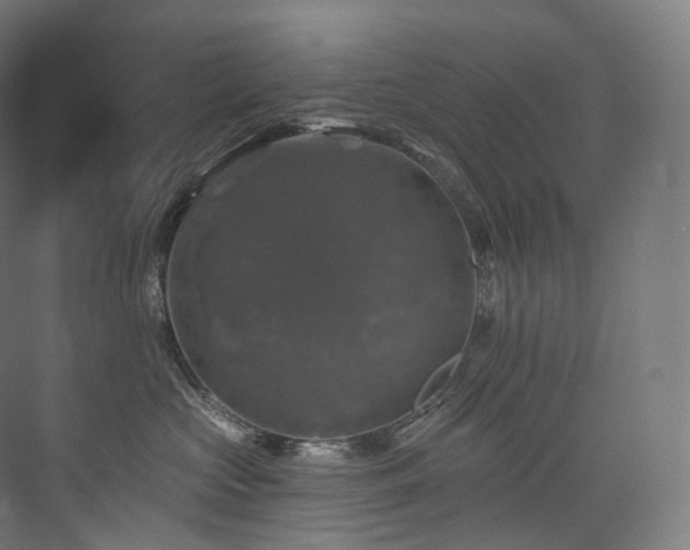 X0000074040573200608211521