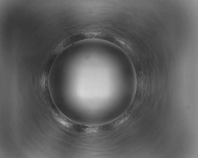 X0000074040574200608211522