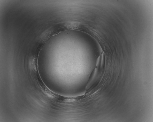 X0000074040575200608211522