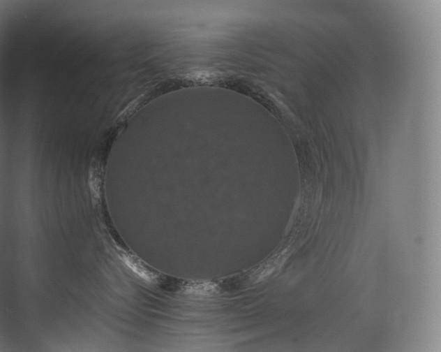 X0000074040576200608211522