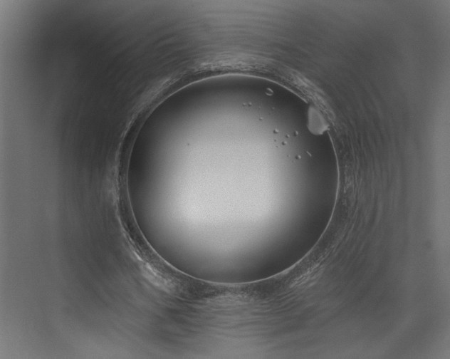 X0000074040578200608211521