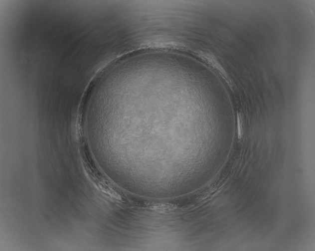 X0000074040579200608211521