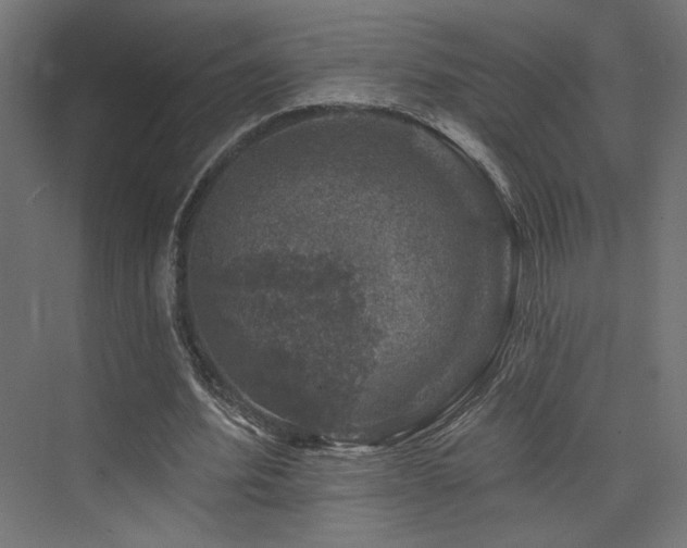 X0000074040580200608211521