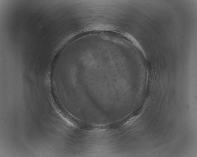 X0000074040581200608211521