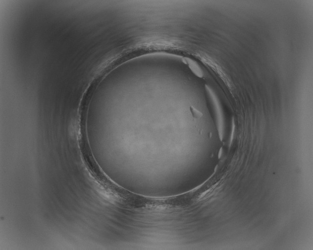 X0000074040582200608211521