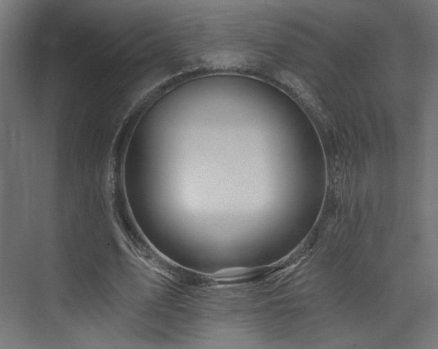 X0000074040583200608211521