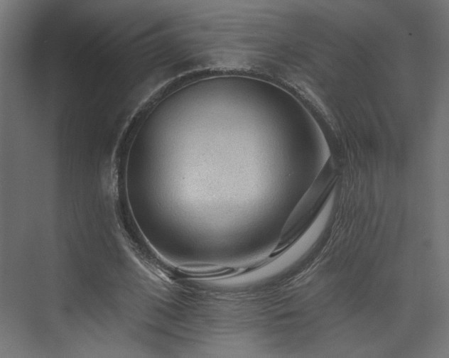 X0000074040584200608211521