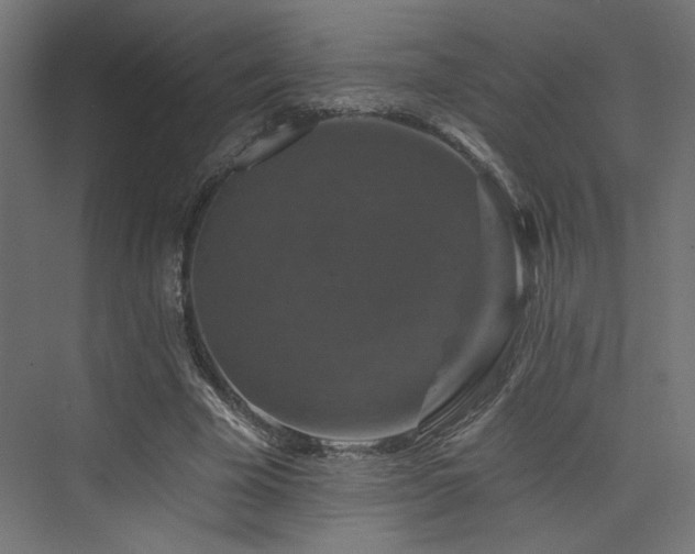 X0000074040585200608211521