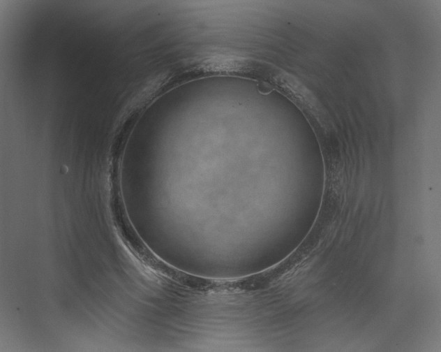 X0000074040586200608211521