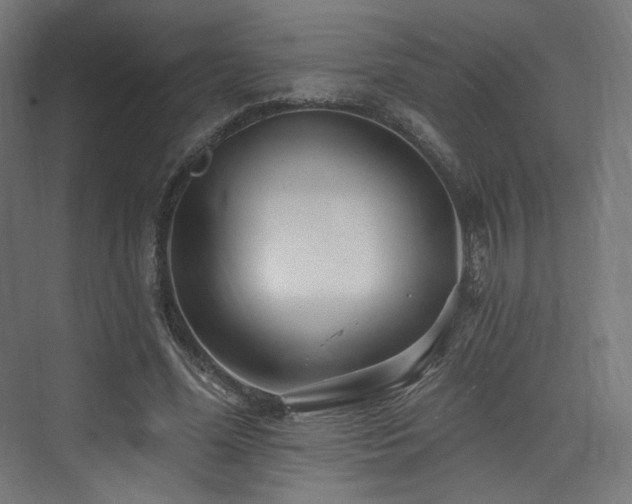 X0000074040588200608211521