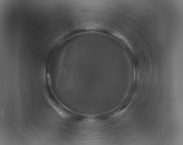 X0000074040589200608211521