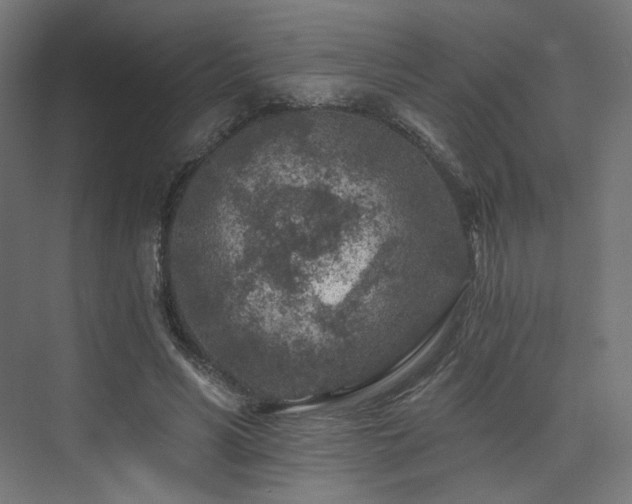 X0000074040590200608211521