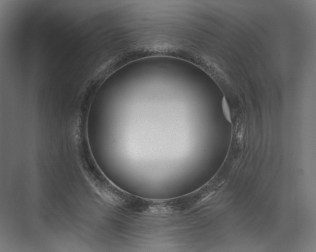 X0000074040591200608211520