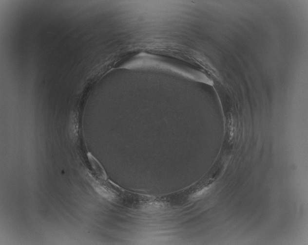 X0000074040593200608211520