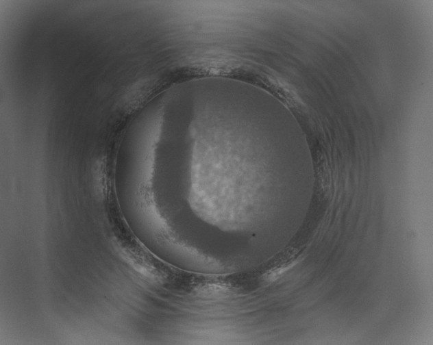 X0000074040594200608211520